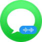 IM Voice Message